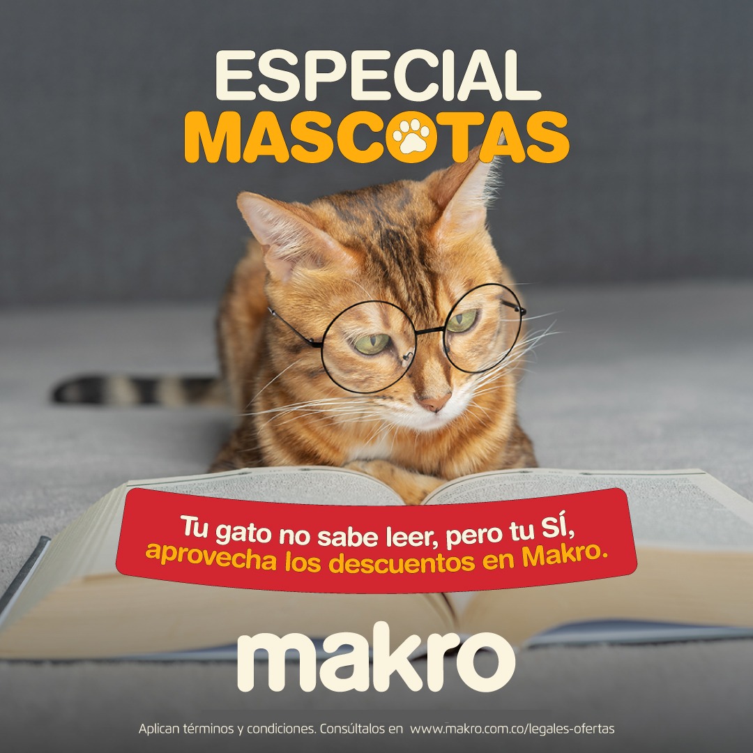 Especial Mascotas